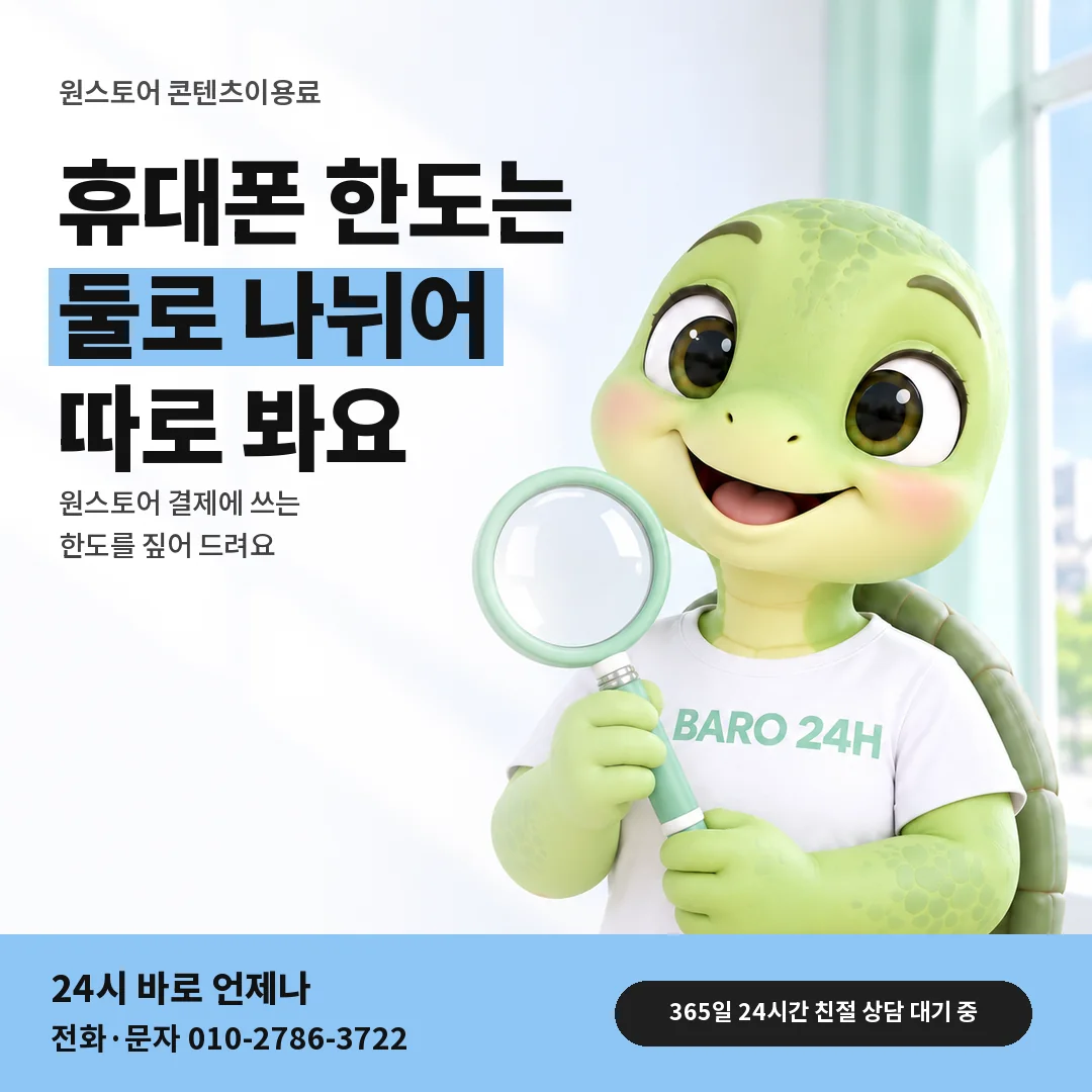 돋보기를 든 BARO 24H 티셔츠를 입은 3D 거북이 캐릭터 옆에 「원스토어 두 한도 따로 보기」 제목을 얹은 안내 카드